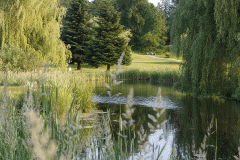 Fairway2_b