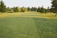 Fairway5_b